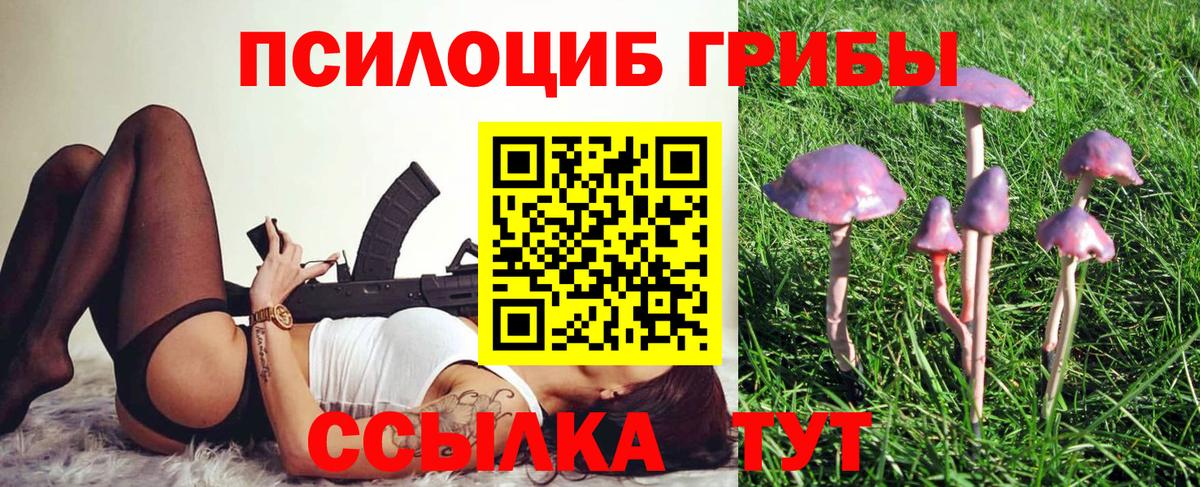 Галлюциногенные грибы Psilocybe  Вход с VPN  Вязьма 