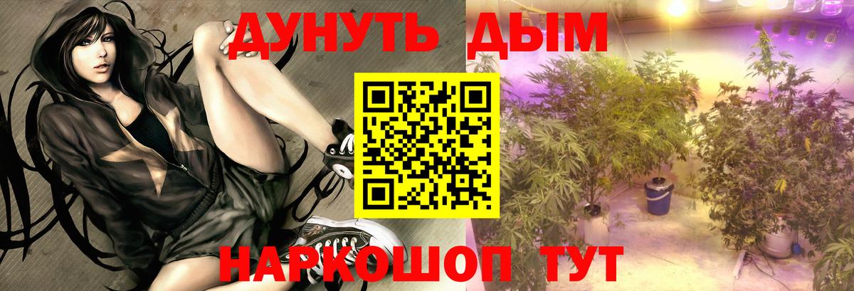 Конопля White Widow  Канабис LSD WEED  Вязьма  Вход с VPN  МАРИХУАНА марихуана  Марихуана White Widow 